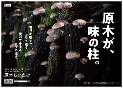 食感も香りもおいしい 乾燥椎茸 袋(大) 中葉(110g入り)×3袋セット