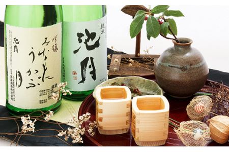 酒 日本酒 吟醸みなもにうかぶ月 池月 純米酒 飲み比べセット 720ml