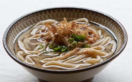 うどん 冷凍 出汁のみ 300g×10袋