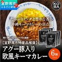 【ふるさと納税】【宜野湾市特産品推奨】アグー豚入りキーマカレー 6パック入（隠れ家レストラン　KOBAがお届け）