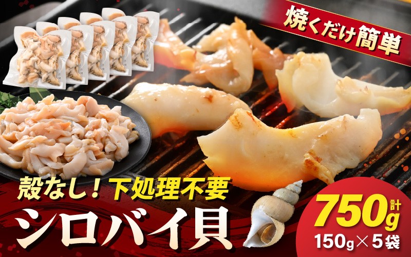 
                  【先行予約】越前町産 天然 シロバイ貝むき身（加熱用・下処理済み）150g×5袋（計750g）【2026年11月中旬より順次発送】【冷凍 小分け バイ貝 エッチュウバイ 海鮮 貝類 福丸】 [e15-b020]
                