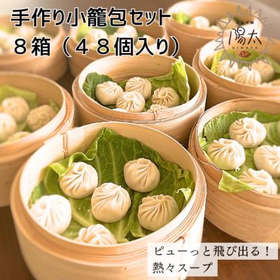 ふるさと納税 諏訪市 手造り小籠包セット 48個(6個入×8箱)/ぱおず屋陽太