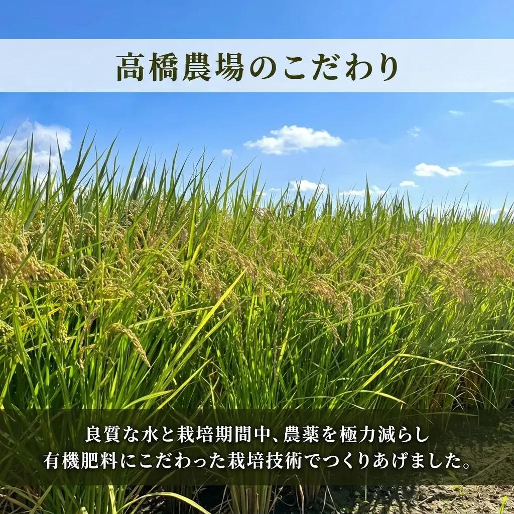 先行予約 令和8年産 新潟県上越市産 特別栽培米 コシヒカリ  15kg（5kg×3袋）ご飯 おにぎり