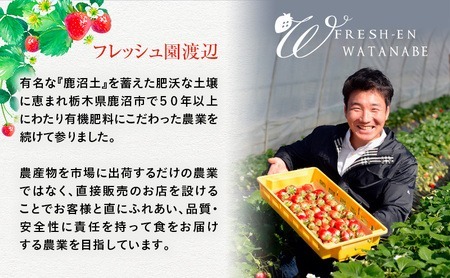 【訳あり】とちあいか 不揃い粒 2kg×3箱 計6kg（家庭用、ジャム・冷凍など加工用にもおすすめ） 果物 いちご 朝取り 新鮮 美味しい ハート 甘い ※2026年5月中旬～5月下旬頃に順次発送予定