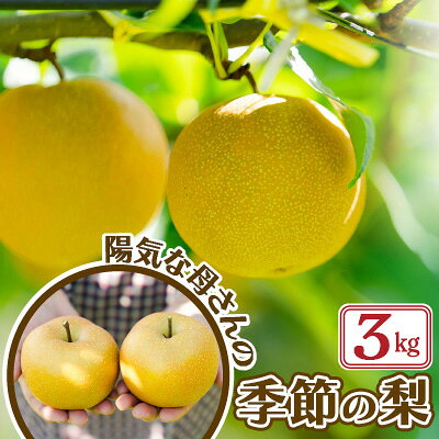 【ふるさと納税】【先行予約】【数量限定・期間限定】R8年産「季節の梨」（3kg）50P3425 なし ナシ セット 季節 数量限定 大館市 秋田県 ギフト フルーツ 果物 和梨【陽気な母さんの店(株)】