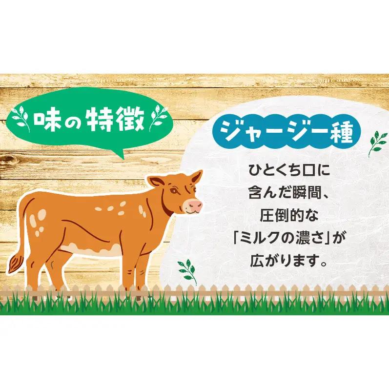 定期便 3ヵ月連続 全3回 のむヨーグルト 生乳100%使用 500ml×3本 北海道産 ジャージー種 [i・ふぁーむ] 【 飲むヨーグルト 牧場直送 幕別 プレーン 濃厚 牛 朝食 】