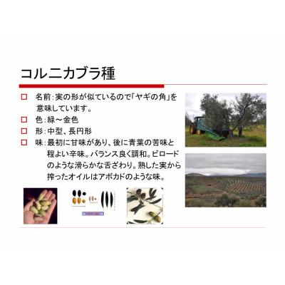 ふるさと納税 高石市 毎日のオリーブ油　320g×6本 |  | 03