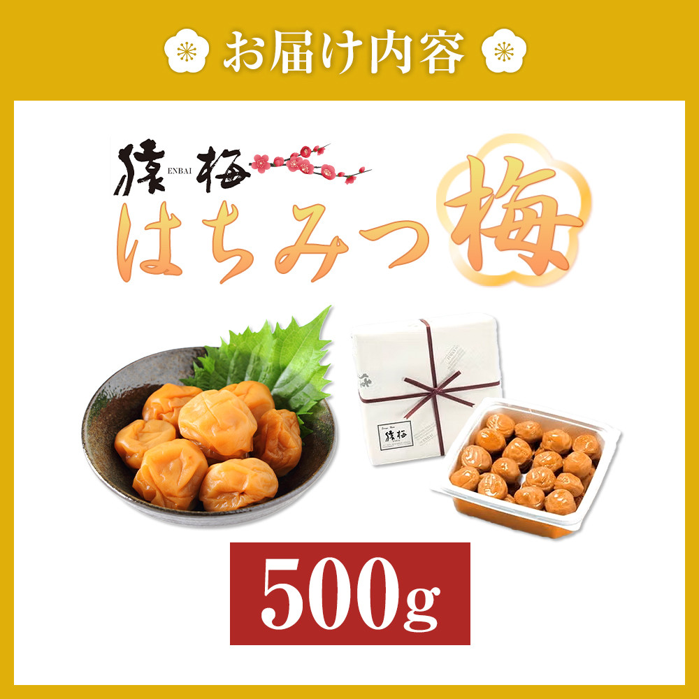 梅干し 猿梅 はちみつ梅 塩分8％ 500g S043_イメージ5