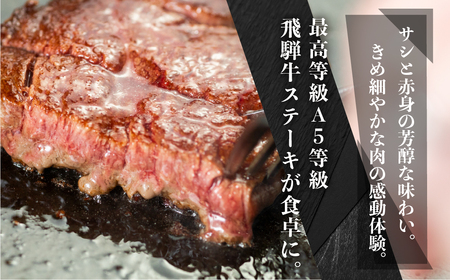 [A5等級] 飛騨牛 ステーキ 3回 定期便 | ヒレ フィレ シャトーブリアン サーロイン モモ 赤身 霜降り 牛肉 肉 和牛 牛肉 肉 冷凍 焼肉 ステーキ 本巣市 トキノ屋 食品 [mt677]