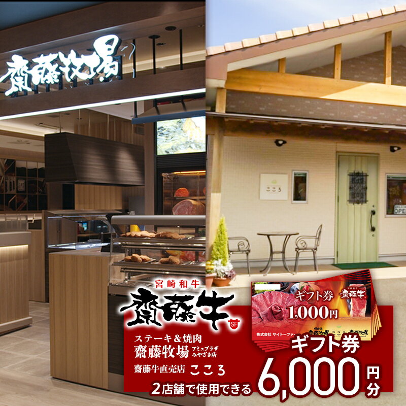 【ふるさと納税】サイトーファーム「ギフト券」宮崎県西都市「齋藤牛」（1,000円×6枚セット）