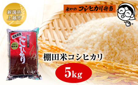 棚田米コシヒカリ 5kg 上越市 精米 コメ 米 ブランド米
