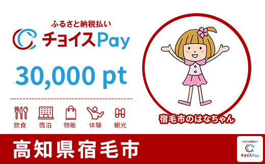
            宿毛市チョイスPay 30,000pt【会員限定のお礼の品】
          