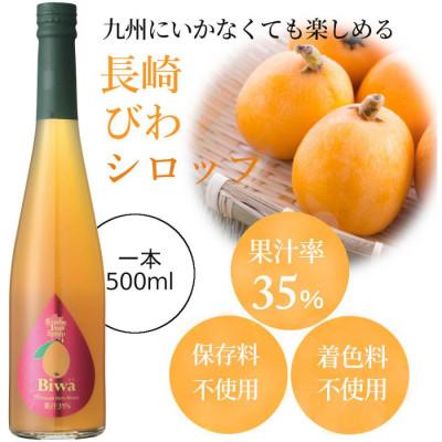 ふるさと納税 水俣市 九州を飲む! 九州果実 シロップ びわ 500ml 1本 【福田農場】 |  | 01