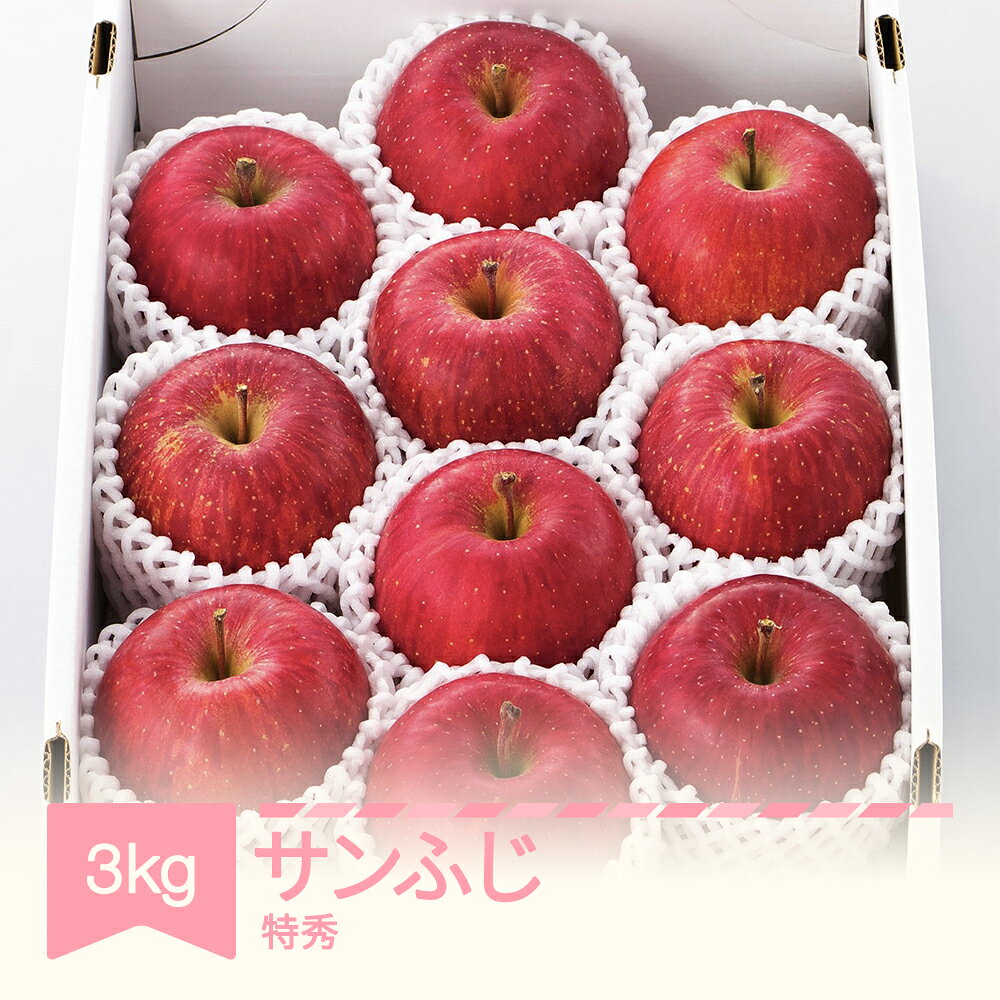 【ふるさと納税】先行予約 りんご サンふじ 約3kg 特秀品 リンゴ 令和8年産 2026年産 果物 フルーツ 山形県産 送料無料 ※沖縄・離島への配送不可 mm-risft3