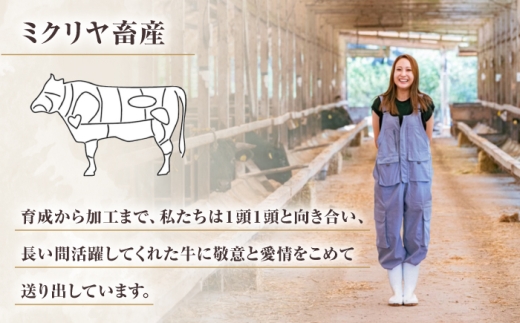 黒毛和牛 ハンバーグ 100g×6個 ハンバーグ はんばーぐ 小分け 個包装 冷凍 はんばーぐ hannba-gu hamburg 国産はんばーぐ 人気 おすすめ ハンバーグ ＜ミクリヤ畜産＞ [CF