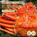 【ふるさと納税】ブランドタグ付ボイル松葉ガニ（600～700gを2枚） 約3－4人前 鳥取県産 高級 松葉ガニ ズワイガニ かに 松葉蟹 ずわいがに　カニ 松葉がに 蟹 魚介 海鮮 送料無料 鳥取県 大山町 【11月中旬以降発送】OM-27