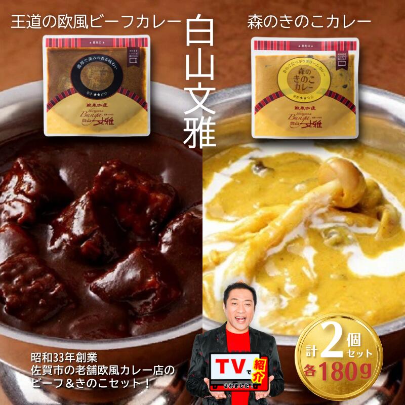 【ふるさと納税】白山文雅カレー2種セット（ビーフ・きのこ）：B120-072