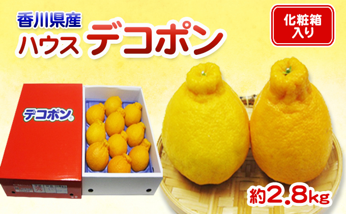 デコポン ハウス栽培 約2.8kg 化粧箱 贈答用 ギフト プレゼント 薄皮ごと 皮がむきやすい 手で剥ける 旬の先取り でこぽん 柑橘 みかん 生食 おやつ デザート 旬の果物 柑橘類 蜜柑 ミカン フルーツ 果物 くだもの 果実 五色青果 香川 香川県 東かがわ市