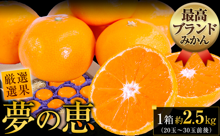 夢の恵 みかん 約2.5kg(20玉〜30玉前後) 熊本県産 （長洲町産含む） 糖度12度以上 ブランドみかん ブランド 贈答用 贈り物《11月上旬-12月末頃出荷》 熊本県 長洲町