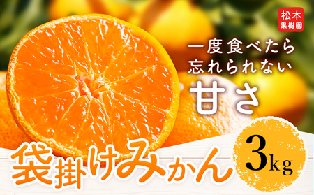 袋掛け みかん 3kg 松本果樹園 《2027年1月中旬-1月末頃出荷》 熊本県 苓北町 スイーツ デザート 果物 ミカン 蜜柑