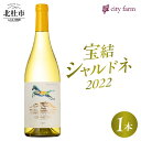 【ふるさと納税】 白ワイン 宝結シャルドネ 2022 750ml×1本 city farm シャルドネ100％ アルコール分 13.5% 2022年ヴィンテージ シャルドネ ブドウ 白 ワイン 芳醇 エレガント 冷蔵 数量限定 国産 ギフト 記念日 山梨県 北杜市産 送料無料