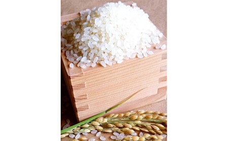 蛍の里のコシヒカリ　10kg