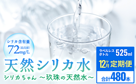 【数量限定】【12ヶ月定期便】天然水 シリカ 525ml × 40本 ＜シリカちゃん〜玖珠の天然水〜＞    水 水 500ml 500ml 天然水 天然水  ラベルレス 天然シリカ 水 シリカ水 ミネラルウォーター 国産 保存可能 水 防災 備蓄 シリカ水 シリカ水