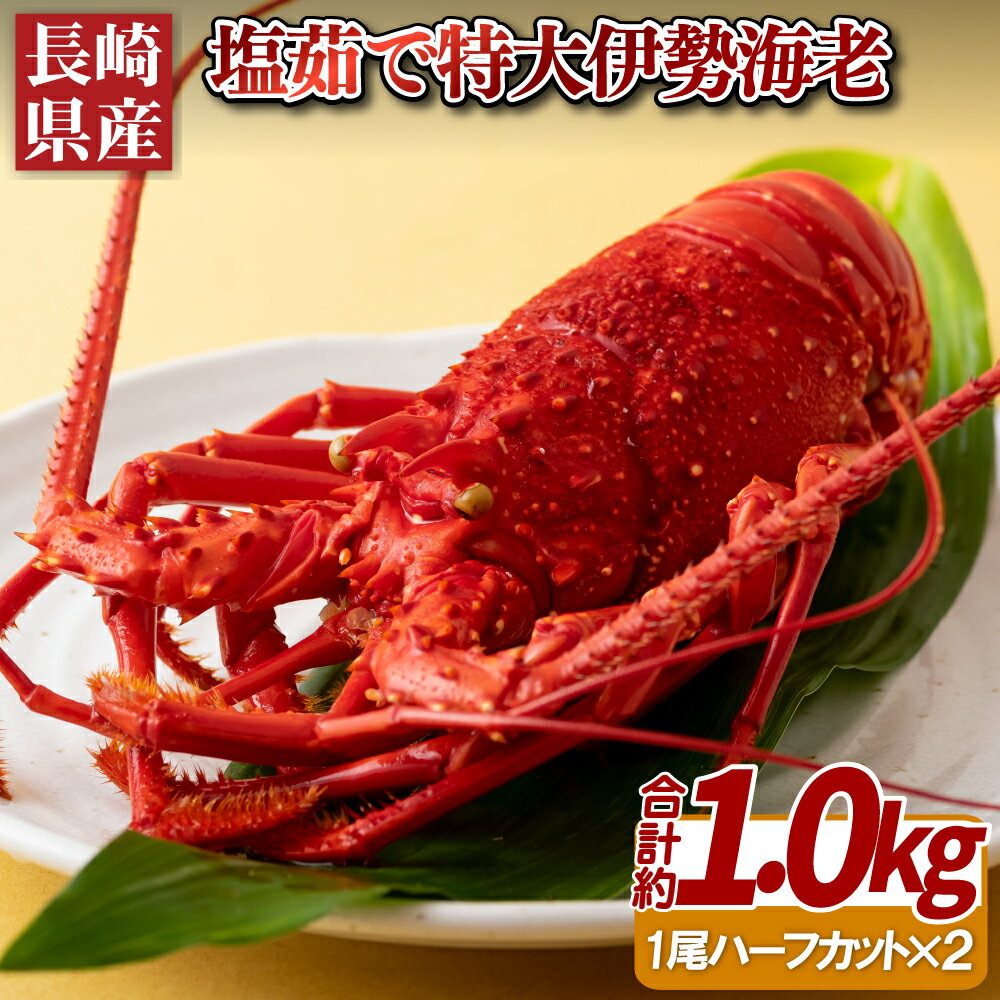 【ふるさと納税】長崎県産 塩茹で 特大 伊勢海老 1尾 ハーフカット 総計約1kg 海産 海鮮 プレゼント ギフト 贈り物 贈答 贈答用 お中元 お歳暮 御中元 御歳暮