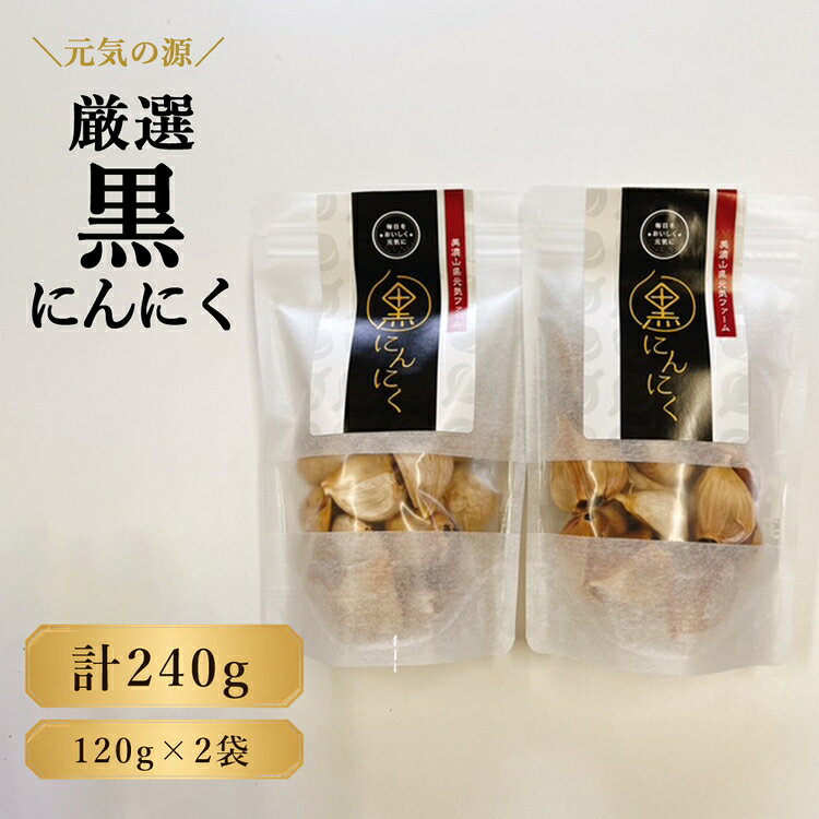【ふるさと納税】元気の源　黒にんにく　240g [No.672] ／ ニンニク 大粒 送料無料 岐阜県