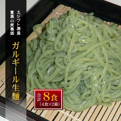 ふるさと納税 奥州市 栄養たっぷりのガルギールを練りこんだ生麺　8食分　ルッコラの原種 [AT002]