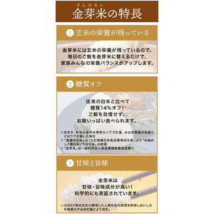【 金芽米 】愛知県 美浜町産 にじのきらめき 5kg 無洗米｜米 糖質オフ