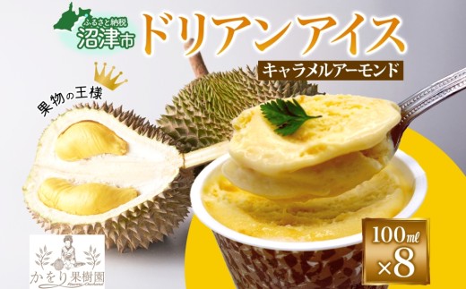 ドリアン ココナッツ キャラメルアーモンド アイスクリーム 100ml 8個 濃厚 ココナッツミルク スイーツ お菓子 ソフトクリーム おやつ デザート ご当地アイスセット 詰め合わせ お取り寄せ ギフト お返し かをり果樹園 静岡県 沼津市