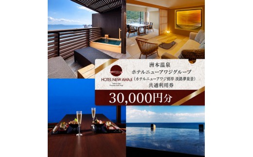 
                  ホテルニューアワジ グループ （ホテルニューアワジ別亭淡路夢泉景） 共通 利用券 30000円分 洲本温泉 ホテル 宿 旅行 旅行券 宿泊 宿泊券 温泉 温泉宿泊券 温泉旅行 露天風呂 淡路牛 海鮮 淡路島 洲本市
                