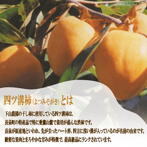【先行予約】 干し柿 計12玉 4玉入り × 3パック 四ツ溝柿 静岡県 長泉町 干し柿