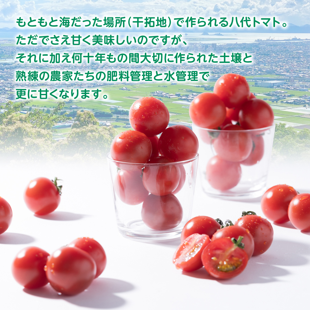 厳選ミニトマト 750g トマト 野菜 厳選 やさい サラダ 甘い_イメージ5