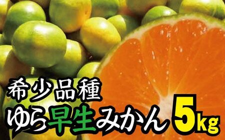 ＼光センサー選別／＼農家直送／甘くて濃厚！希少品種 ご家庭用 ゆら早生みかん　約5kg　サイズ混合　※2025年10月末で申込締切 /ミカン 蜜柑 柑橘 フルーツ くだもの 果物 早生 温州 【nuk109C】