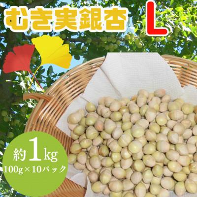 ふるさと納税 山辺町 山形県山辺町産　むき実銀杏 (ぎんなん)【L】 約1kg(100g×10パック)