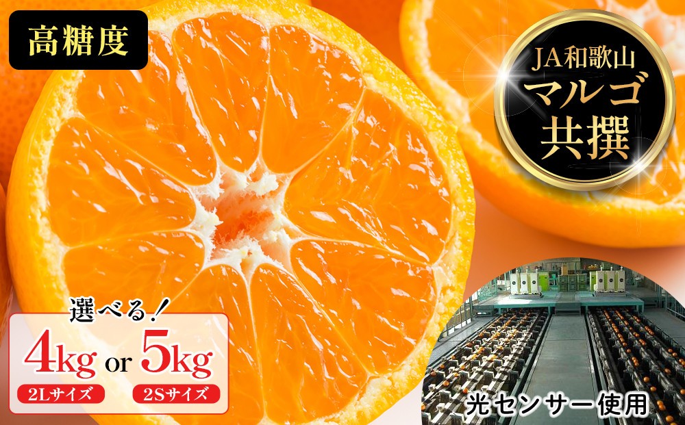 
                  【選択可能】有田みかん 光センサー使用 高糖度 4kg（2Lサイズ）or 5kg（2Sサイズ）
                