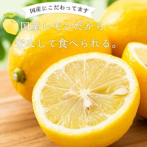 やわらか ドライフルーツ 輪ぎり レモン（国産) 大袋 5袋パック ｜ドライフルーツ
