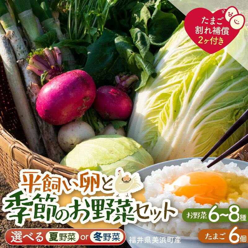 【ふるさと納税】お野菜セット 旬の野菜と平飼い卵のお楽しみボックス【選べる配送：冬野菜/夏野菜】【野菜 卵 セット 新鮮野菜 詰め合わせ 農家直送 旬野菜 季節限定 旬の味覚 鍋 平飼い 卵焼き たまご】