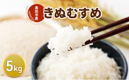 [№5695-2115]お米 5kg（きぬむすめ） 米 コメ 精米 白米 ご飯 静岡県 島田市 ※配送不可:北海道、沖縄、離島