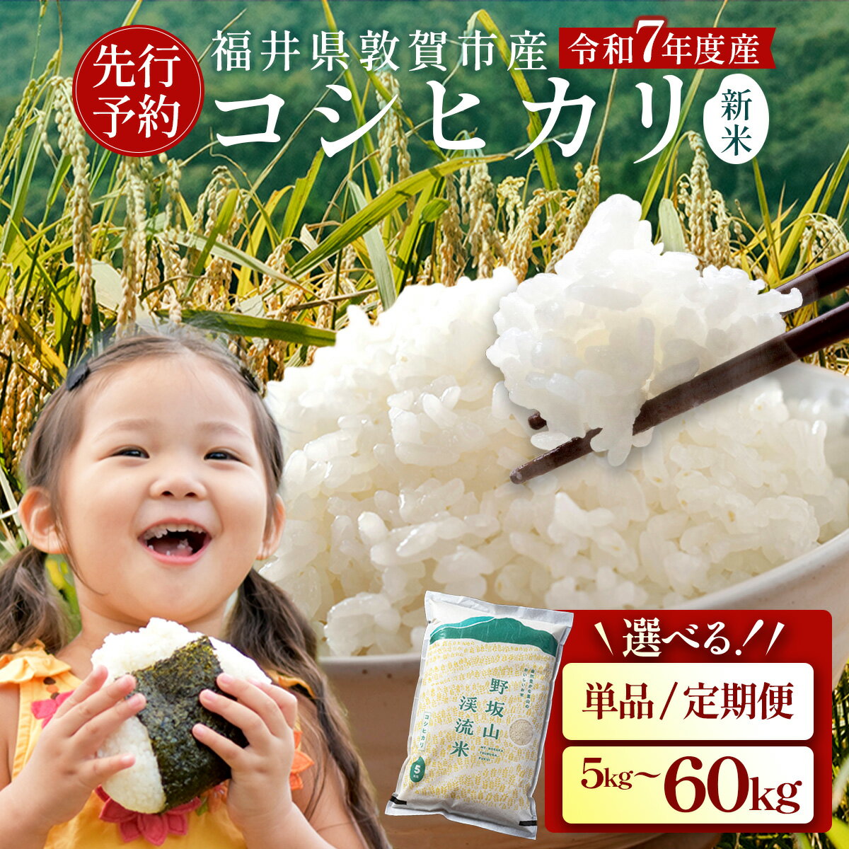 【ふるさと納税】先行予約 / 数量限定【令和7年産 新米】『 コシヒカリ 』精米 5kg〜 福井県敦賀市産 ＜選べる 単品 定期便＞【米 コメ お米 白米 ご飯 飯 こしひかり ブランド米 国産 北陸 お中元 お歳暮 ギフト 贈り物 贈答 NEW 新規】