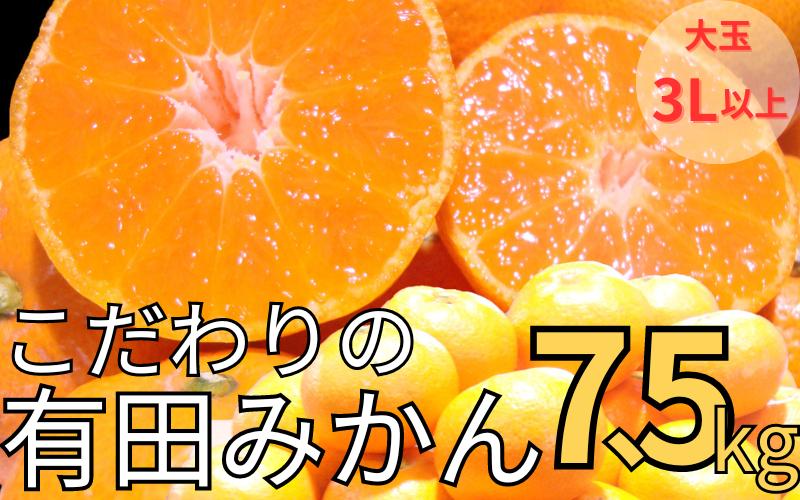 
                  【農家直送】有田みかん 約7.5kg 大玉3L以上 有機質肥料100% ※2026年11月～12月に順次発送予定(お届け日指定不可)/みかん ミカン 温州みかん 柑橘 有田 和歌山 産地直送【nuk158D】
                