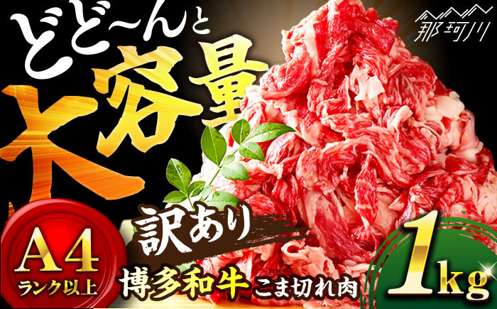 
            切り落とし【たっぷり大容量！】博多和牛 牛肉 切り落とし 1kg（500g×2P）＜株式会社MEAT PLUS＞那珂川市 切り落とし 切落し 牛肉 肉 黒毛和牛 国産 [GBW001]
          