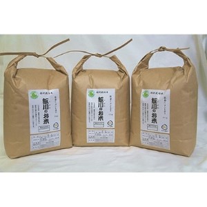 【令和6年産】能登のコシヒカリ　飯川のお米　9kg(精米3kg×3袋)【1086153】