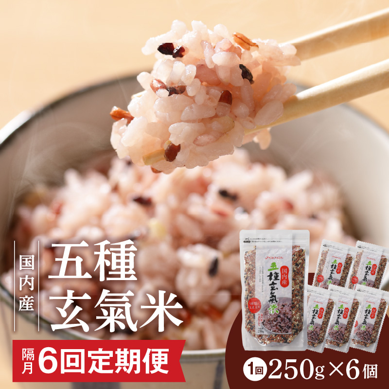 【隔月6回　定期便】国内産 五種玄氣米 250g×6個 1500g×6回_国内産 五種玄氣米 250g×6個 お届け回数 6回 玄米 ブレンド 雑穀米 もち赤米 うるち玄米 もち玄米 もち黒米 もち緑米 プチプチ もちもち 混ぜて炊くだけ 冷めても美味しい 主食 おにぎり 弁当 食卓 華やか 福岡県 久留米市 送料無料_Tk026