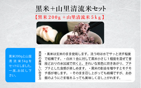 《令和6年産新米先行予約！》黒米＋山里清流米セット（黒米200g＋山里清流米こしひかり5kg）014042