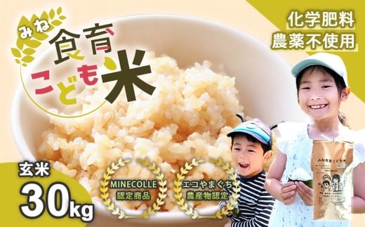 令和7年産 新米 みね食育こども米 ( 玄米 ) 30kg 先行予約 ＜ 9月中旬以降 発送予定 ＞ | 山口県 山口 美祢 楽天ふるさと ふるさと 納税 支援品 返礼品 支援 返礼 米 国産 玄米 食育 農薬不使用 健康 有機 ご当地 お土産 名産品 特産品  土産