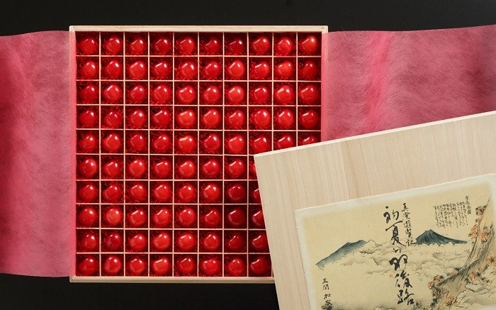 
                  【特選品】初夏の羽後路(三関さくらんぼ 3Lサイズ 100粒)【(同)三関加敬農園】[F8701]
                