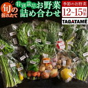 【ふるさと納税】特別栽培 旬の採れたて お野菜 12~15種類詰め合わせセット TAGATAME タガタメ【野菜 特別栽培 大容量 栽培期間中農薬不使用 採れたて さぬき市】